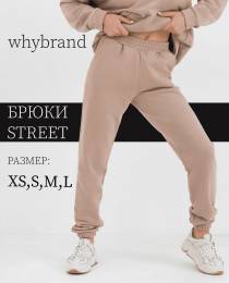 Изображение продукта "Брюки Street"