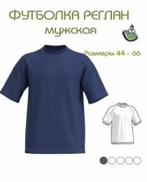 Изображение продукта "Мужская футболка реглан. М12"